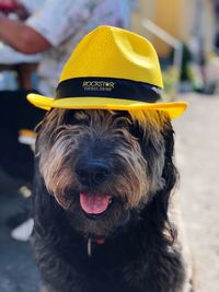 Close-up portrait of dog wearing hat