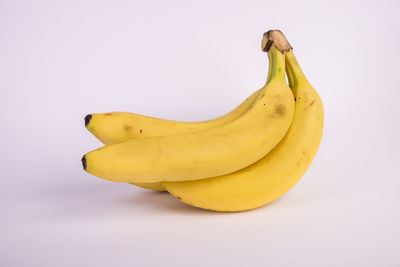 Close-up of yellow fruit against white background