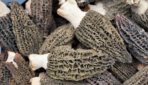 Full frame shot of dried for sale at market