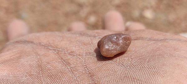 Close-up of human hand