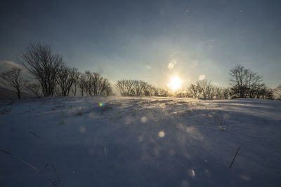 Snow covered field against sky at night