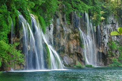 View of waterfall in forest