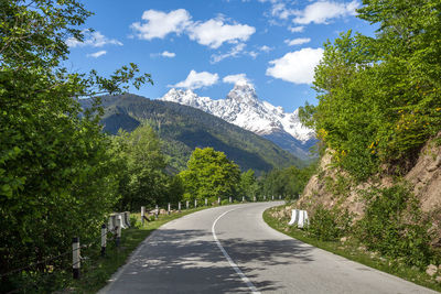 Empty road amidst trees against sky