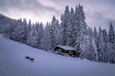 Snow covered landscape against sky