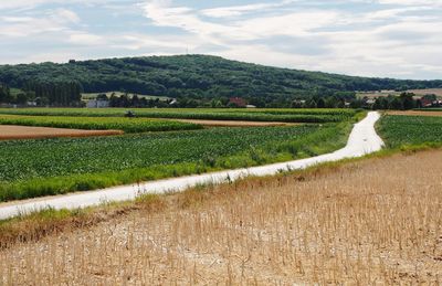 Scenic view of agricultural field against sky