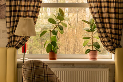 Rear view of woman sitting at home