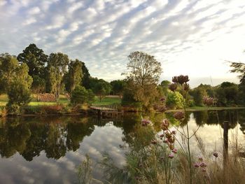 Reflection of trees in lake against sky