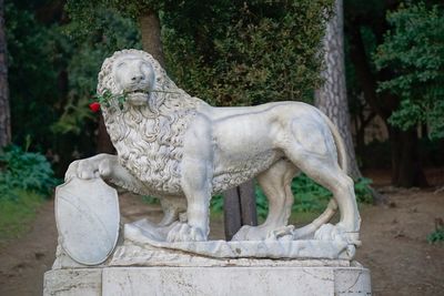 View of dog standing in park