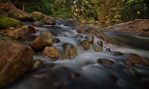 View of river flowing through rocks in forest