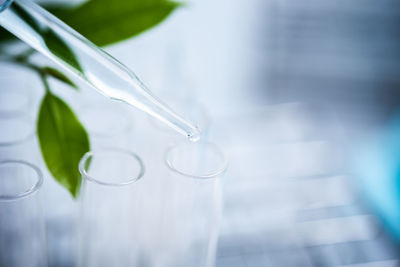 Close-up of water drop on glass