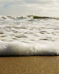 Surface level of sea shore against sky