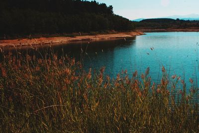 Scenic view of lake against sky