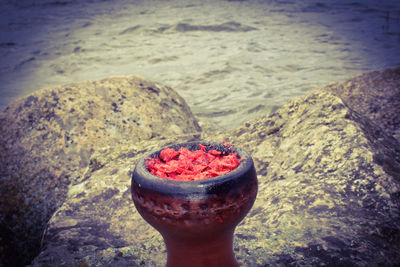 Close-up of red rocks in water