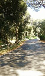 Empty road with trees in background