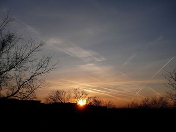 Silhouette bare trees on field against sky during sunset