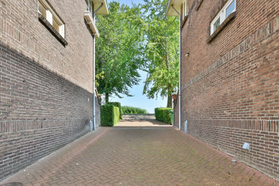 Empty road amidst buildings