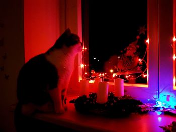 Man in illuminated christmas lights