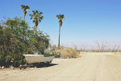 Palm trees on sand against clear sky