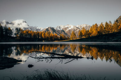 Scenic view of lake by snowcapped mountains against sky, reflection of a branch in the lake