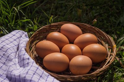 High angle view of eggs in basket