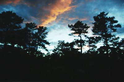 Low angle view of silhouette trees against sky
