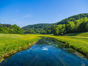 Scenic view of stream amidst trees against blue sky