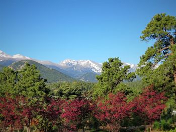 Scenic view of snowcapped mountains against clear sky