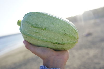 Close-up of hand holding fruit