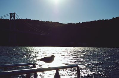 View of birds perching on calm lake