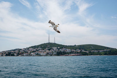 Seagull flying over sea against sky