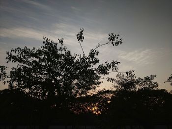 Low angle view of silhouette tree against sky at sunset