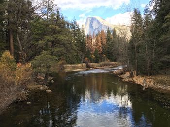 Scenic view of lake in forest against sky