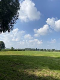 Scenic view of field against sky