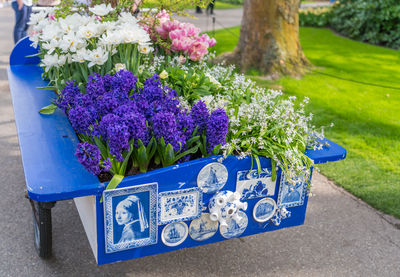 Purple flowering plants in park