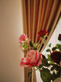 Close-up of rose bouquet