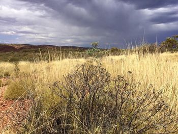 Scenic view of field against cloudy sky