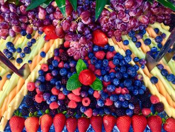 Full frame shot of multi colored fruits for sale