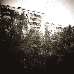 Low angle view of trees by building against sky