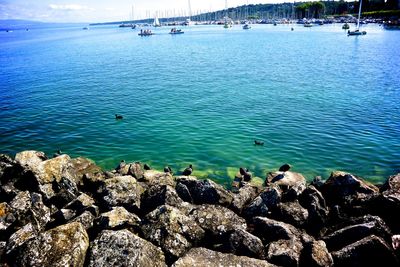 Scenic view of sea