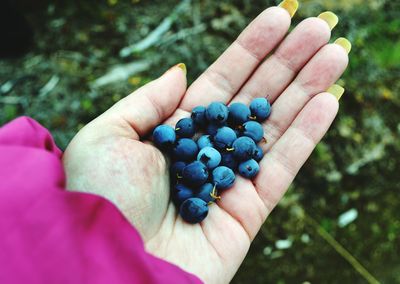 Close-up of hand holding fruit