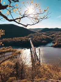 Bare tree by lake against sky