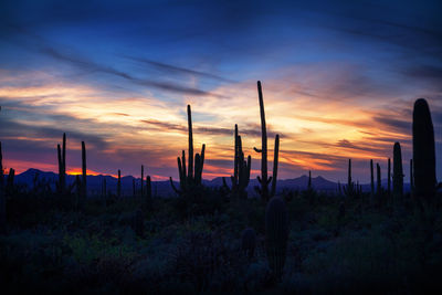 Scenic view of field against sky at sunset