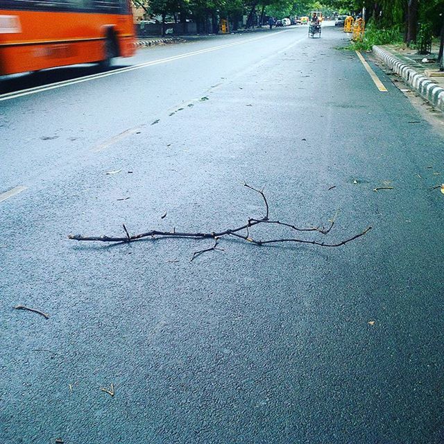 transportation, the way forward, road, street, asphalt, road marking, diminishing perspective, vanishing point, tree, sidewalk, car, day, empty, outdoors, surface level, empty road, no people, land vehicle, sunlight, shadow