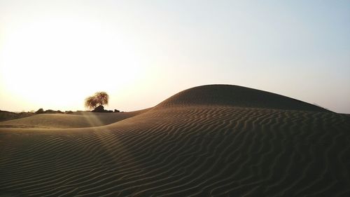 Scenic view of landscape