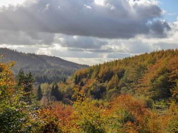 Scenic view of landscape against sky during autumn