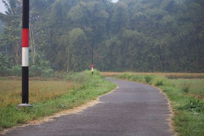 Road amidst trees in forest