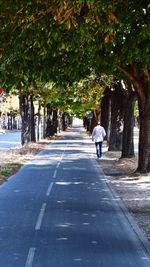 Rear view of man walking on road along trees