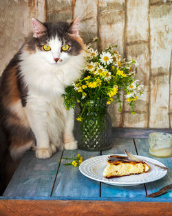 A fluffy cat sits on a table next to a bouquet of wildflowers, a daisy and a colza