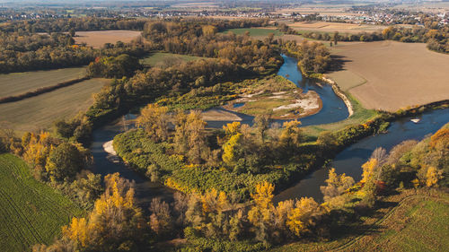 Aerial view of meanders of an untouched river near bohumin, czech republic