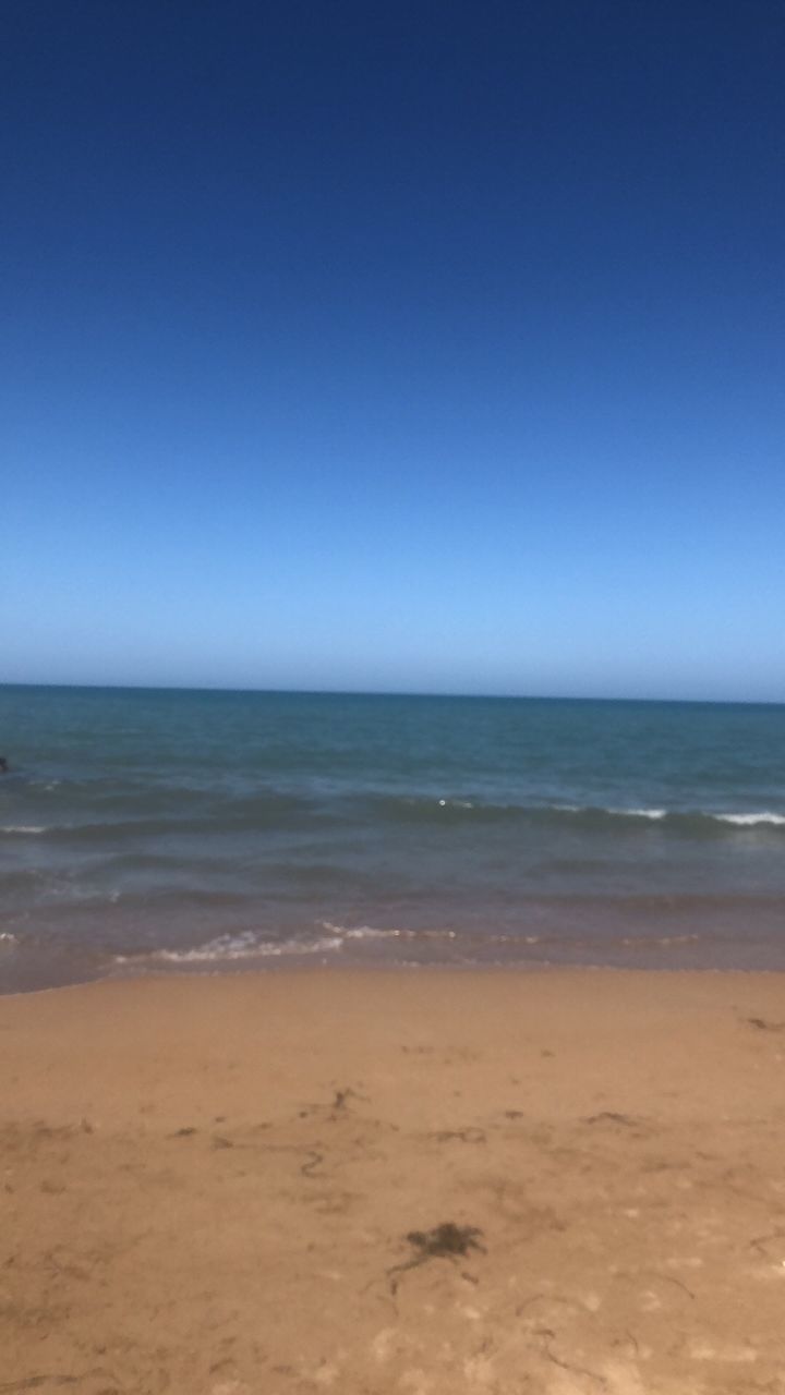 SCENIC VIEW OF BEACH AGAINST CLEAR SKY